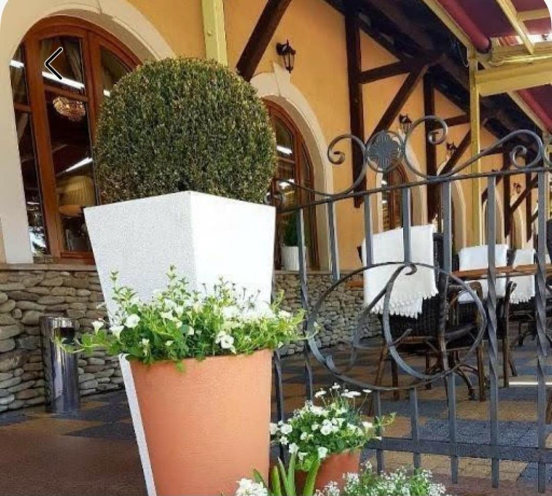 Hotel U Pietrzakow Zielonka  Esterno foto